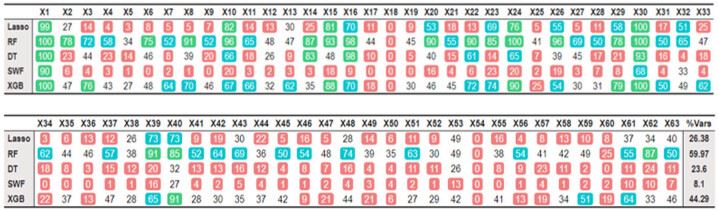 Optimización de la evaluación del TDAH con BRIEF-2